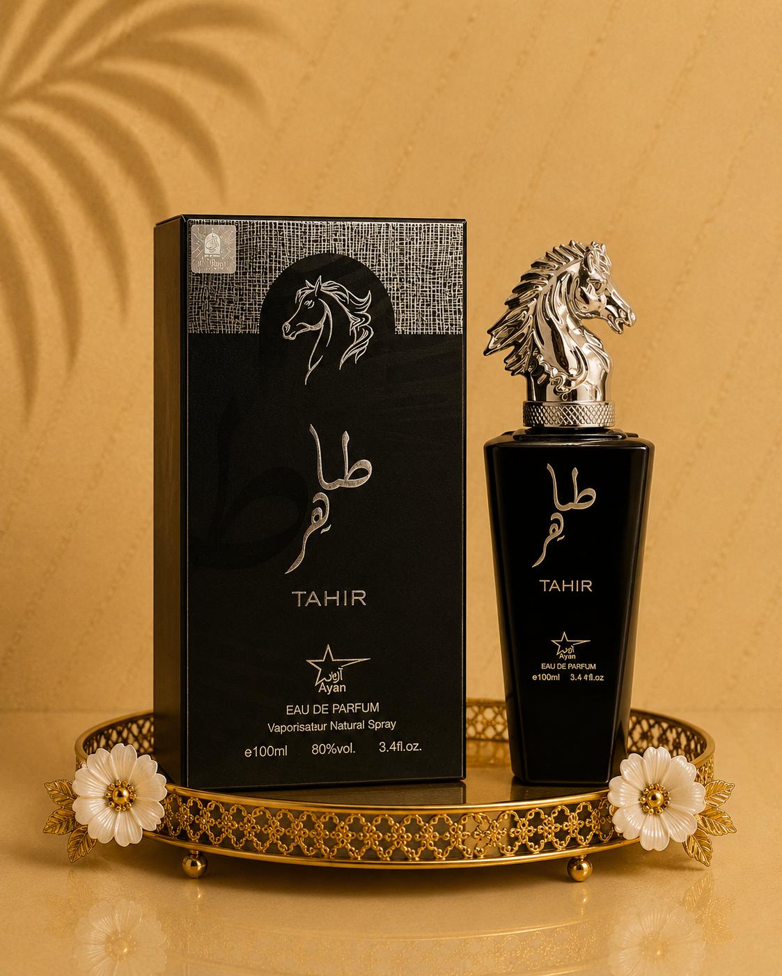 Tahir Silver - Parfum Barbatesc 100 ML