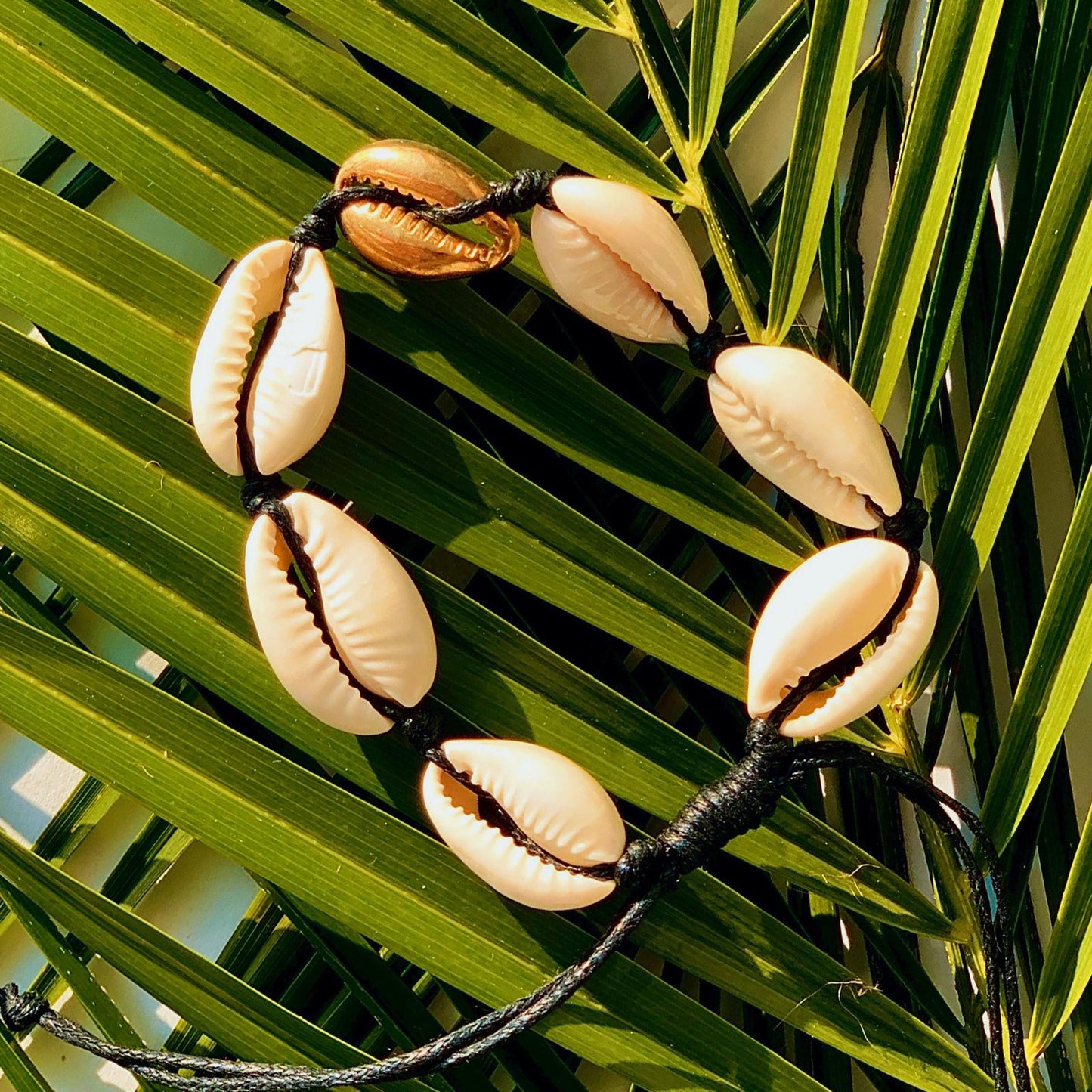 Bratara Shells