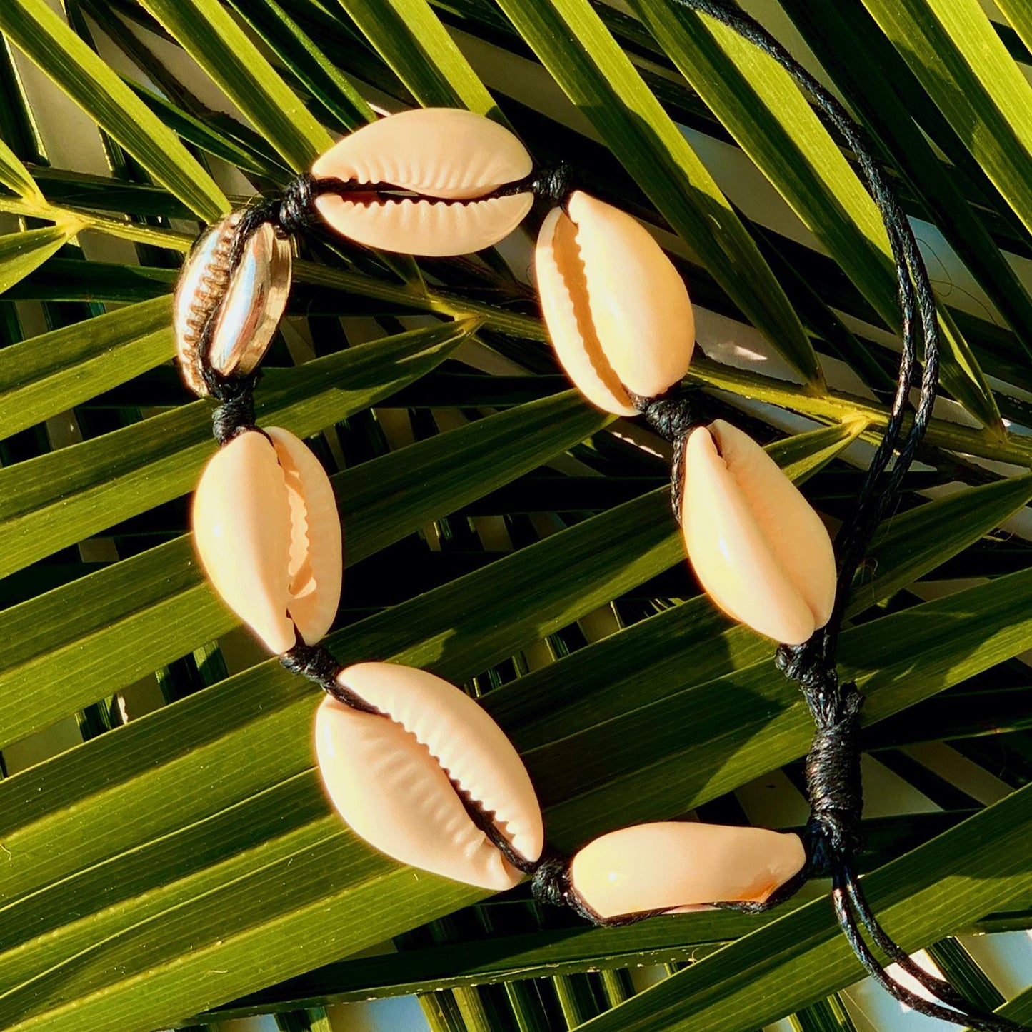 Bratara Shells