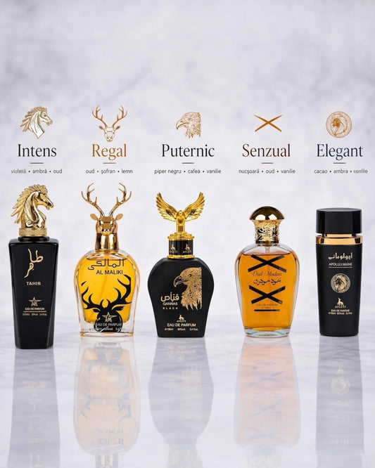 Set 5 Parfumuri Orientale Barbatesti - Tahir + Qannas Black + Apollo Black + Oud Modern + Maliki