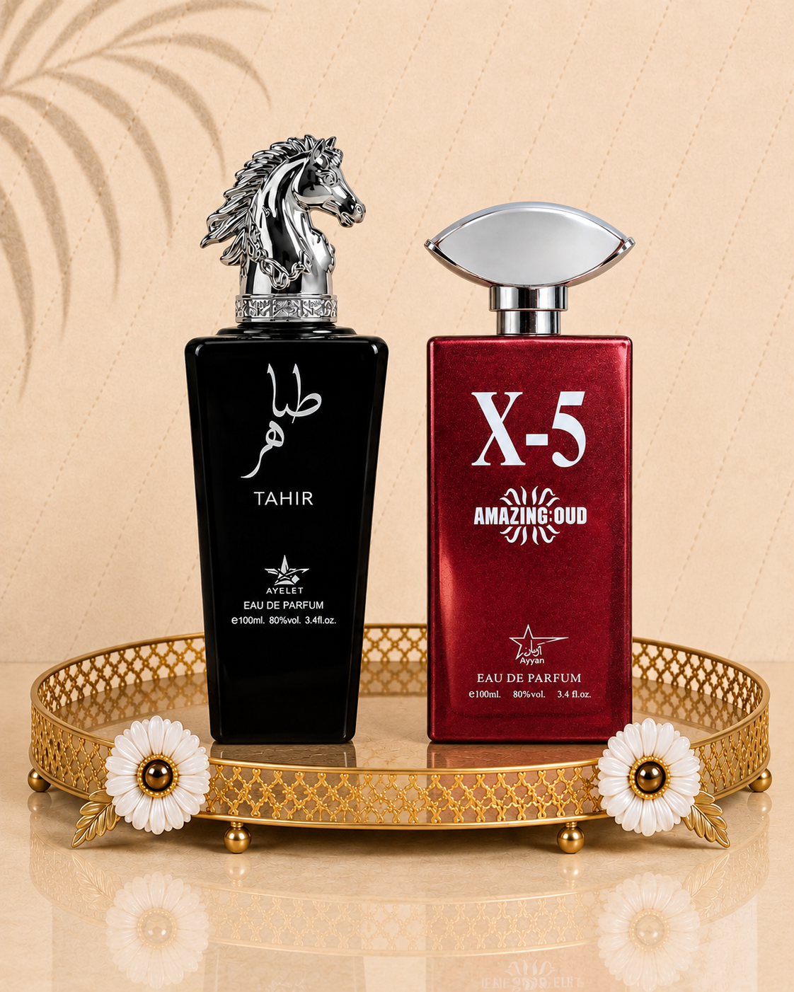 Set 2 Parfumuri Orientale de Barbati - Tahir Silver + X5 Amazing Oud
