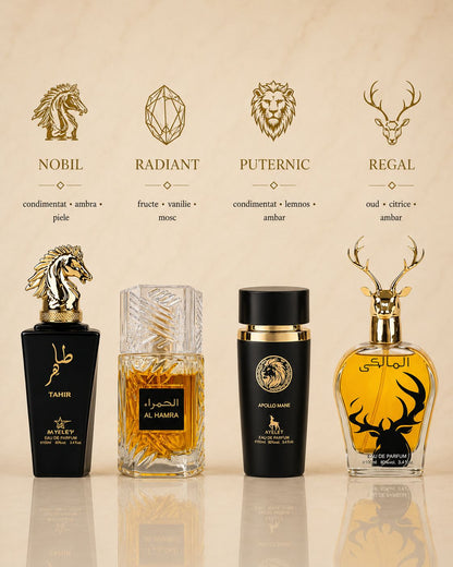 Set 4 Parfumuri Orientale Barbatesti - Tahir + Al Hamra Qahwa + Apollo Black + Maliki