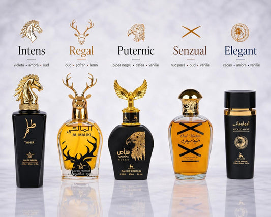Set 5 Parfumuri Orientale Barbatesti - Tahir + Qannas Black + Apollo Black + Oud Modern + Maliki