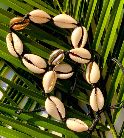 Bratara Shells