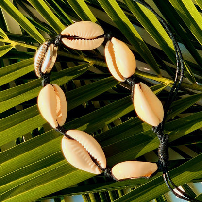 Bratara Shells